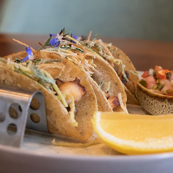 platillo tacos de pulpo frito